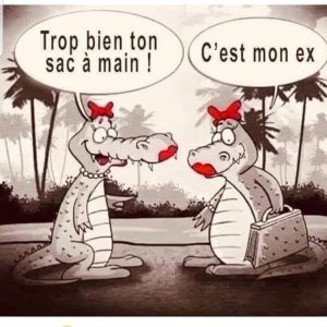 sac à main croco.jpg