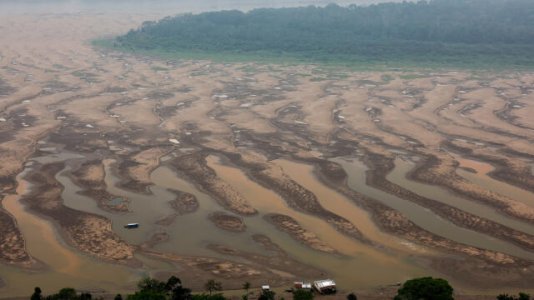 brazil-environment-amazon.JPG