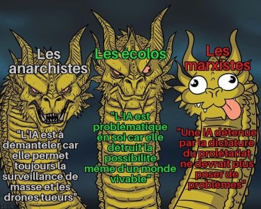 IA  gauche .jpg