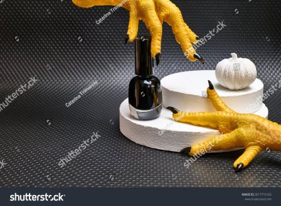 stock-photo-two-hen-s-paws-with-long-nails-manicured-with-black-nail-polish-and-white-chalk-pu...jpg