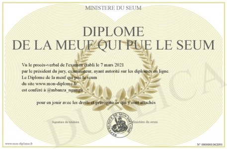 700-1062093-Diplome+de+la+meuf+qui+pue+le+seum.jpg