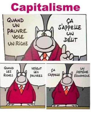 Capitalisme le chat .jpg