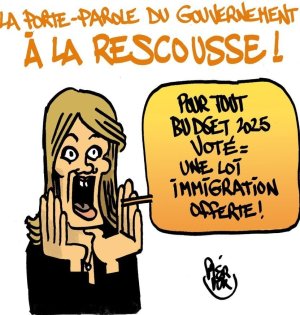 budget voté loi imigration offerte.jpg