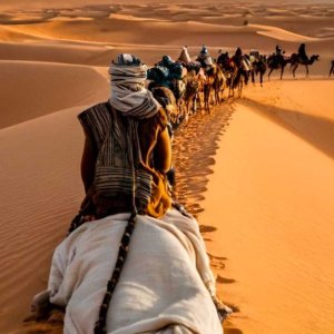 desert-de-Merzouga-800x800.jpg