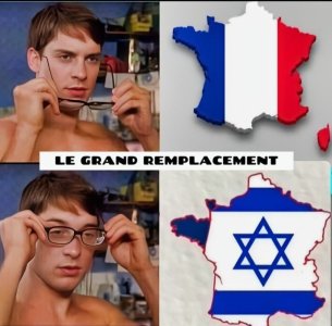 Le grand remplacement .jpg