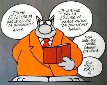 Le chat M.jpg