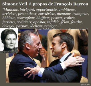 Simone Veil à pros de Bayrou.jpg