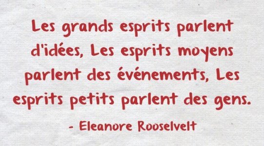 les-grands-esprits-parlent-didées-les-esprits-moyens.jpg