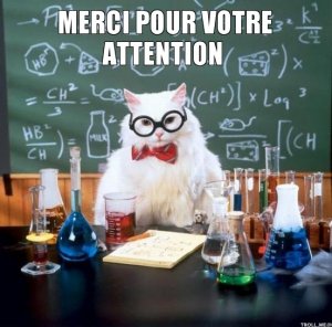 merci-pour-votre-attention.jpg