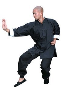 kung-fu-suit03.jpg