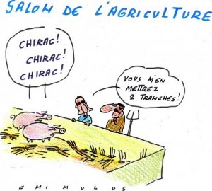 chimulus-sarkozy-vache.jpg