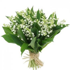 muguet06.jpg