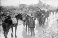 Vimy_Ridge_-_Pack_horses_carrying_ammunition[1].jpg