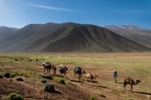 transhumance-maroc-31.jpg