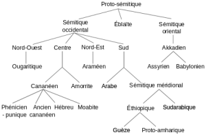 440px-Arbre_des_langues_sémitiques2_svg.png