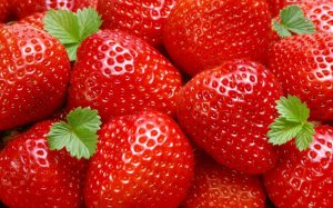 fraises.jpg