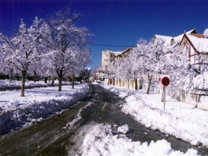 ifrane.jpg