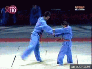 vovinam-o.gif