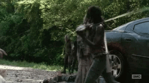 michonne.gif