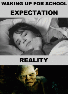 expectations-reality-waking-up-golum.gif