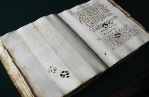 dnews-files-2013-04-Medieval-manuscript-with-paw-prints-660x433-jpg.jpg