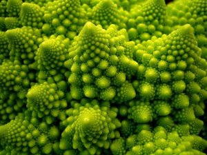 romanesco-1600x1200.jpg